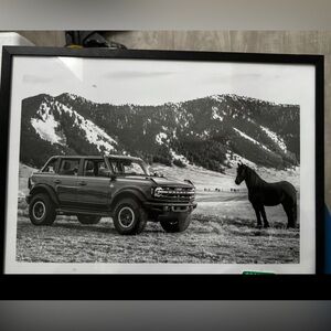 Bronco Framed Black and White Print